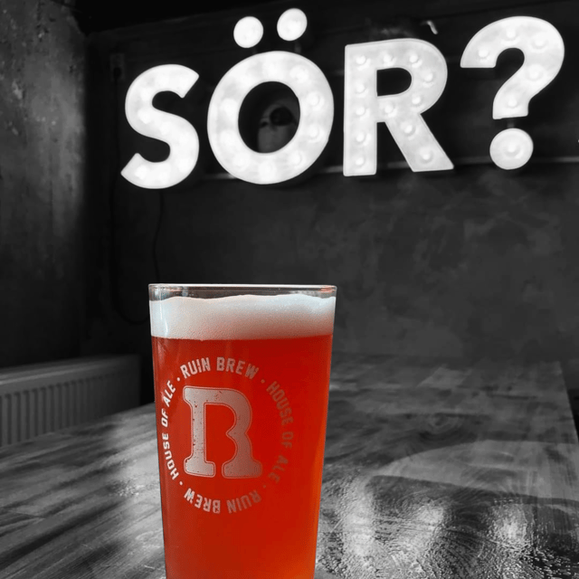 budapest-hungarian-beer-tasting-9-beers-paired-snacks