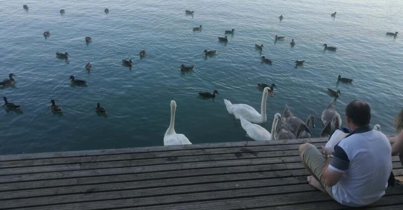 budapest-lake-balaton-herend-porcelain-private-day-tour