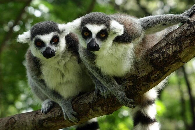 budapest-private-full-day-city-tour-with-a-comfortable-air-conditioned-car-2