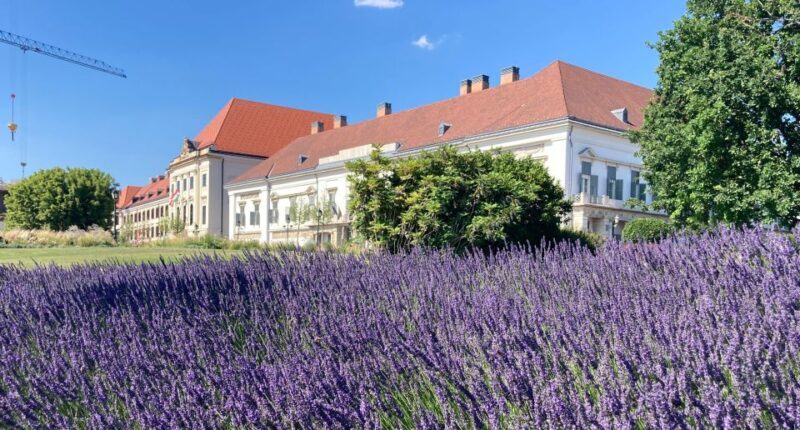 Budapest: private sightseeing tour by public transportation - Practical Considerations and Value