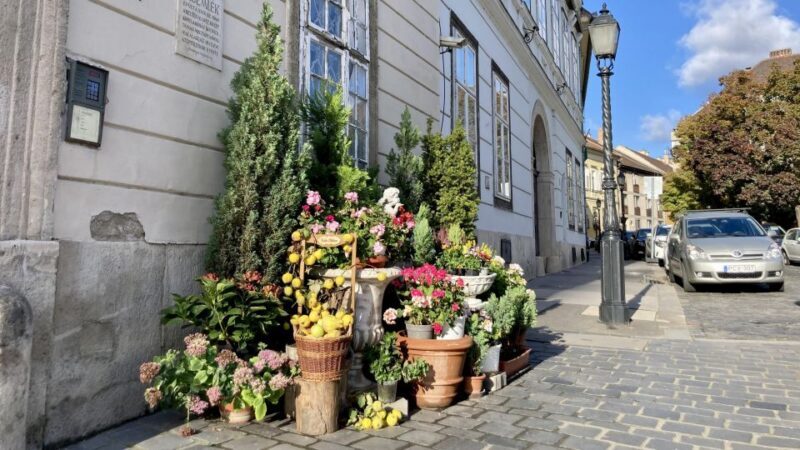 Budapest: private sightseeing tour by public transportation - Who Should Consider This Tour?