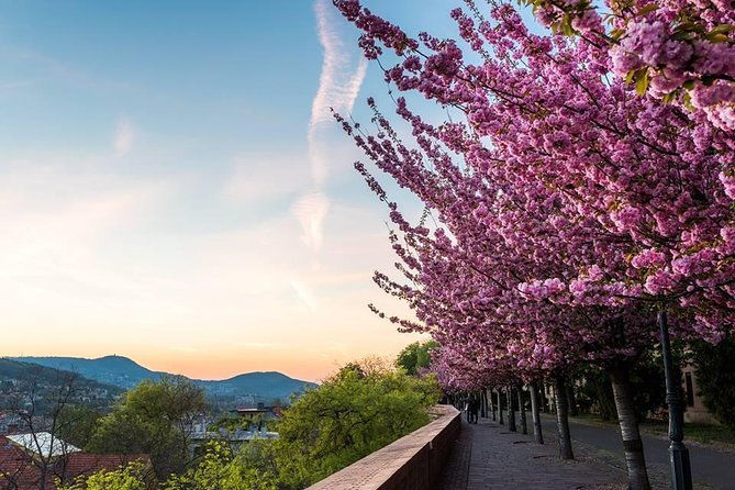 budapest-private-walking-tour