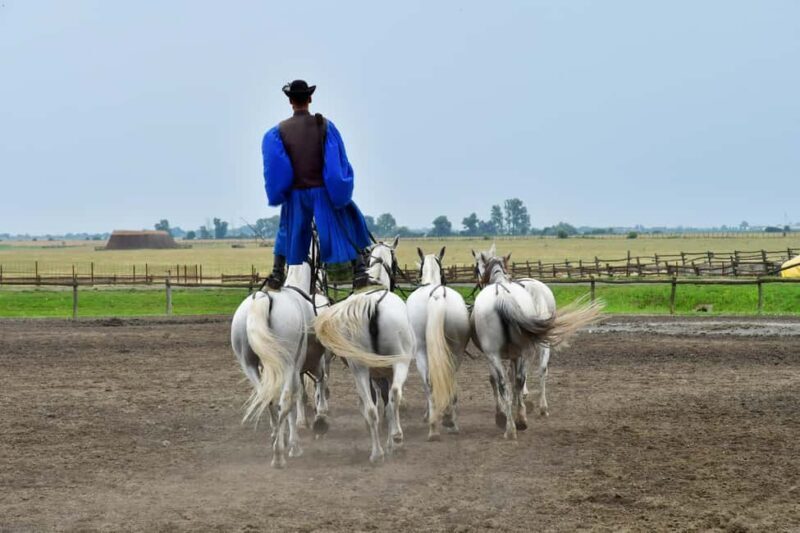 Budapest: Sisi Palace Tour with Hungarian Horse Show & Lunch - Lunch and Additional Comforts