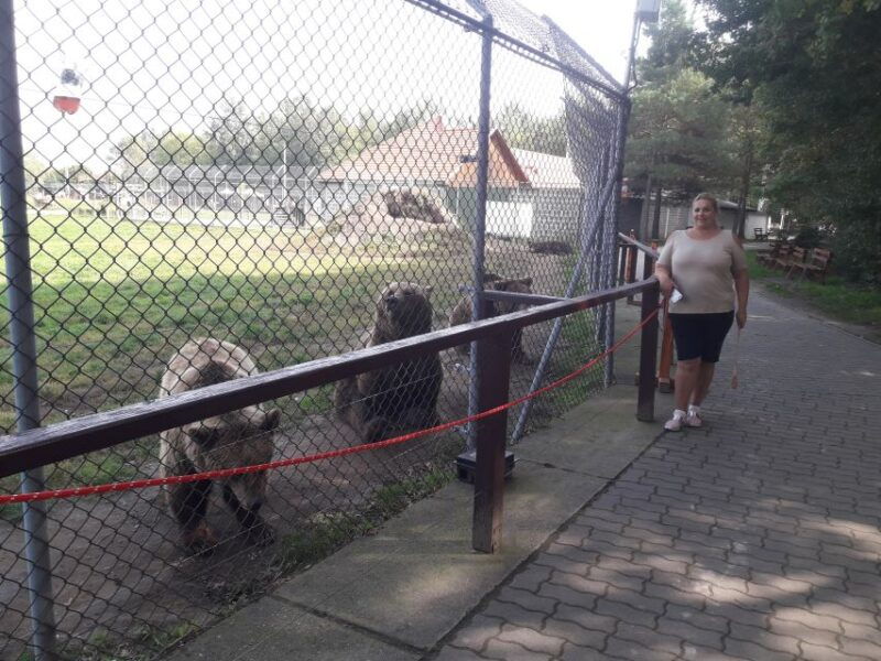 budapest-transport-guided-tour-of-bear-and-wolf-sanctuary