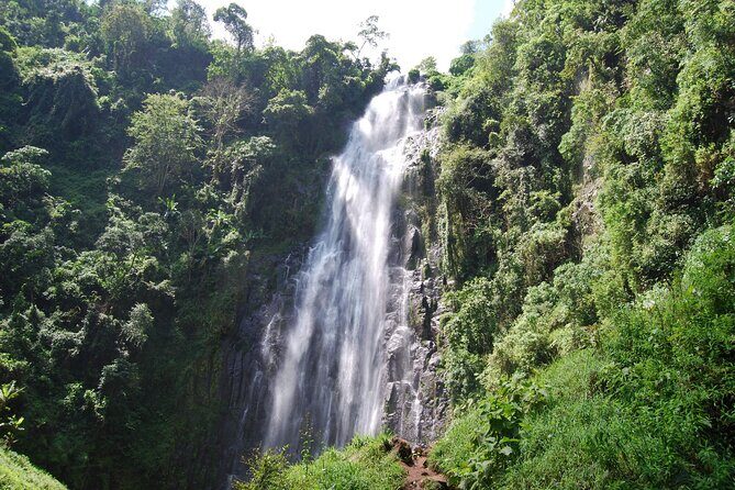 Budge Kikuletwa ( chemka ) hot spring tour from Arusha - An In-Depth Look at the Kikuletwa Hot Springs Tour