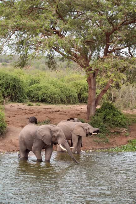 Budget 6-day Safari: Serengeti+Ngorongoro+Tarangire - What Makes This Safari Stand Out?