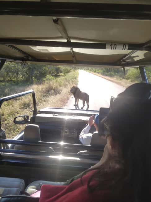 Budget Kruger & Panorama All-Inclusive Safari from Joburg - Transport & Guides: Making It Smooth