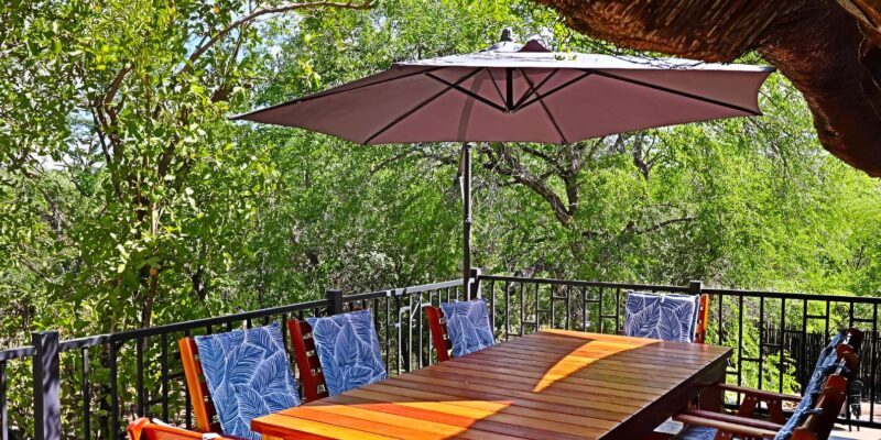 Budget Kruger & Panorama All-Inclusive Safari from Joburg - Value for Money & Overall Impressions