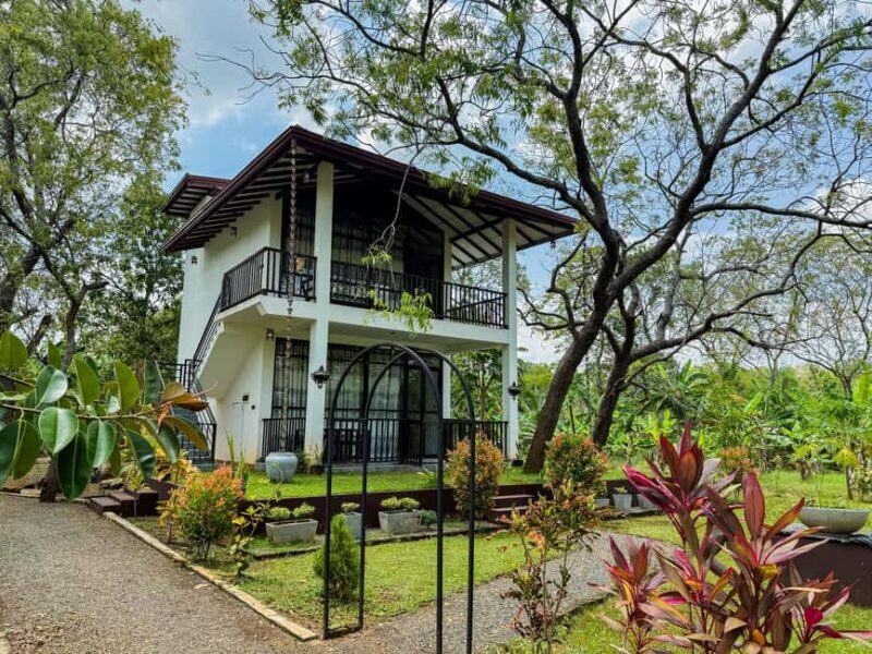 Budget Yala Safari: 1-Night Hostel Stay & Meals Included - Key Points