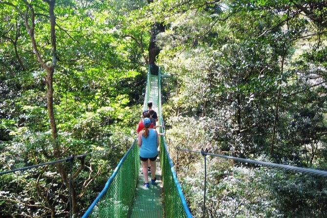 buena-vista-combo-amazing-water-slide-hot-springs-zipline-full-day-tours
