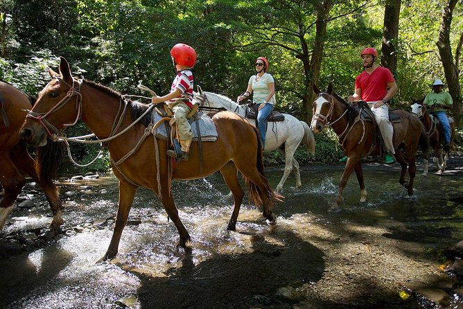 buena-vista-combo-tour-ziplining-and-hot-springs-from-guanacaste