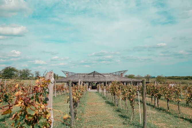 buenos-aires-exp-winery-gamboa-tasting-and-lunch-and-transfer
