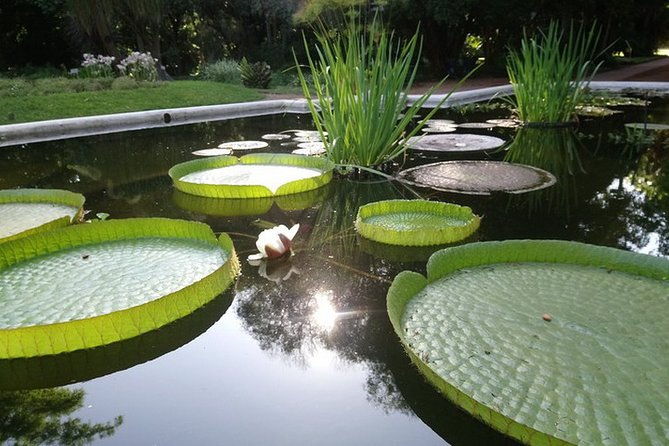 buenos-aires-private-tour-discovering-palermo-the-japanese-botanical-gardens