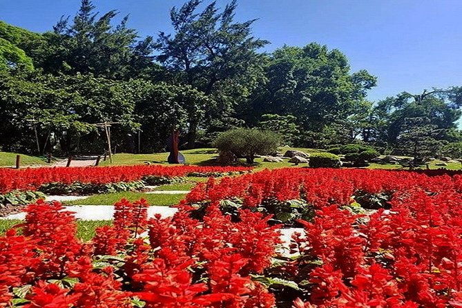 buenos-aires-private-tour-discovering-palermo-the-japanese-botanical-gardens