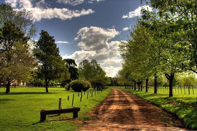 buenos-aires-super-saver-city-tour-gaucho-day-at-a-farm-tango-dinner-show-2