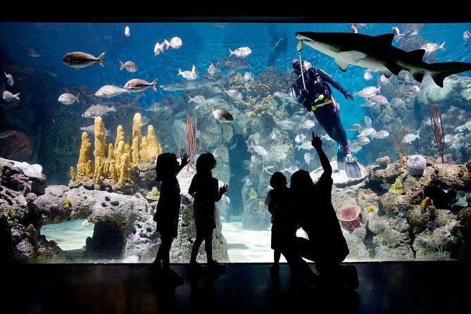 buenos-aires-temaiken-biopark-including-transfers