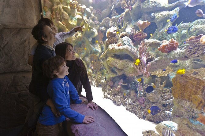 buenos-aires-temaiken-biopark-including-transfers