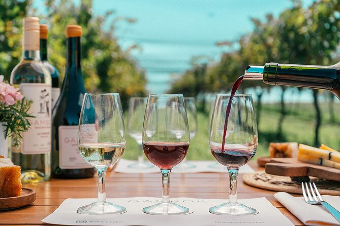 buenos-aires-wine-tasting-and-lunch-at-bodega-gamboa