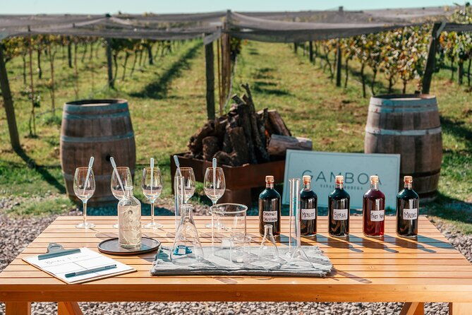 buenos-aires-wine-tasting-and-lunch-at-bodega-gamboa