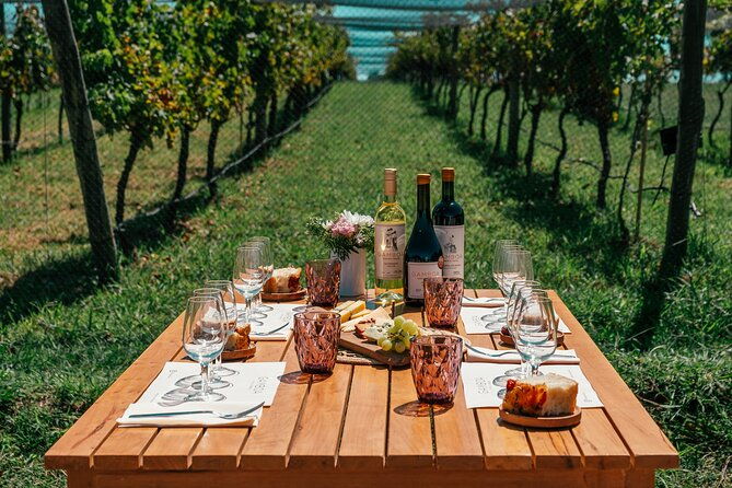 buenos-aires-wine-tasting-and-lunch-at-bodega-gamboa