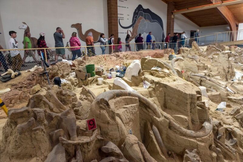 buffalo-jeep-safari-mammoth-site-tour