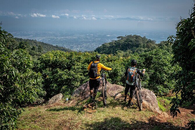 Buffalo Soldier Full Day Mountain Biking Tour Chiang Mai - Key Points