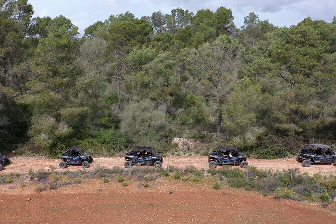 Buggy 2-seater and 4-seater Off-On Road Tour in Mallorca - The Practical Details and Experience