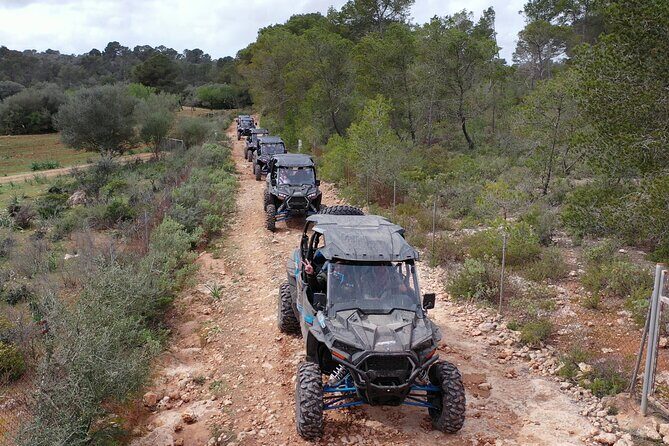 Buggy 2-seater and 4-seater Off-On Road Tour in Mallorca - The Sum Up