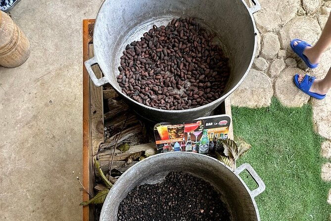buggy-adventure-tour-with-chocolate-and-coffee-in-punta-cana
