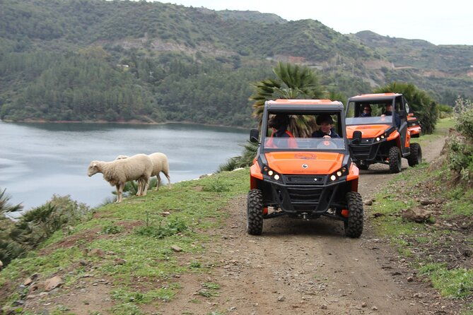 buggy-adventure-with-incredible-views-of-the-sea-and-the-reservoir