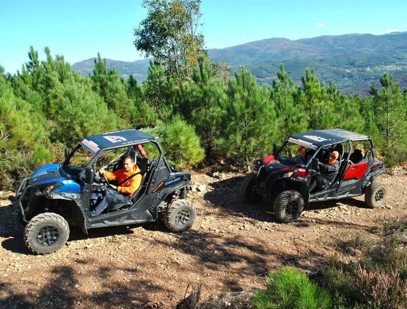 Buggy Family Experience - 60 to 120 minutes - Key Points