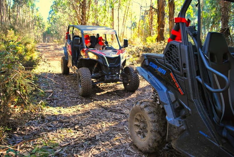 Buggy Family Experience - 60 to 120 minutes - Final Thoughts