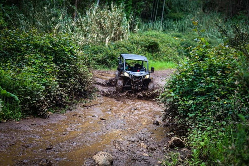 Buggy FunTrip Madeira - Off-Road Valley Adventure Tour - What to Expect from the Off-Road Valley Adventure
