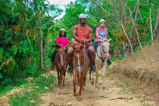buggy-horse-and-zip-line-with-lunch-included-from-punta-cana