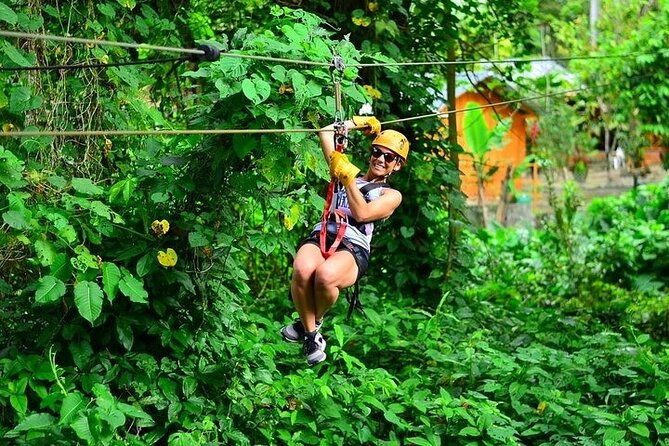 buggy-horse-and-zip-line-with-lunch-included-from-punta-cana