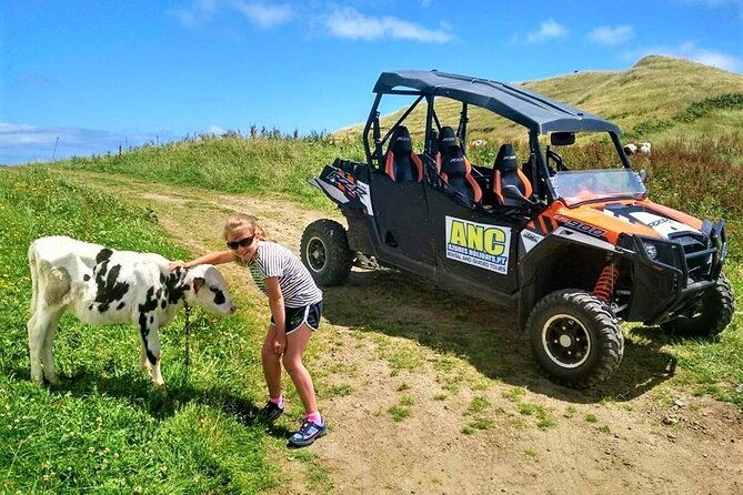buggy-off-road-excursion-w-lunch-coast-to-coast-shared