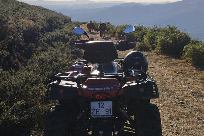 buggy-or-moto4-tour-through-melgaco