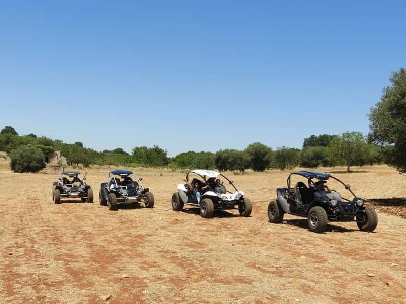 Buggy/Quad excursions in Puglia with 4-seater buggies available on request. - Who Will Love This Tour?
