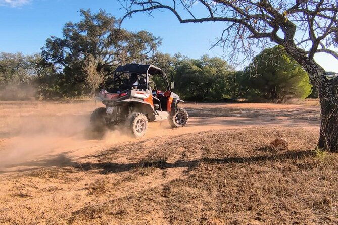 buggy-quest-1-hour-off-road-guided-tour-from-albufeira