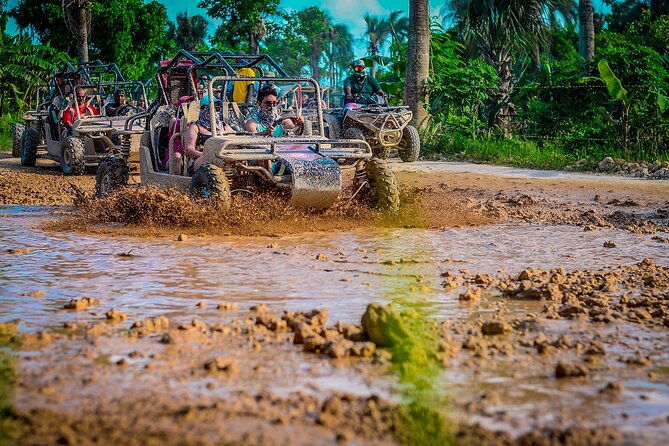 buggy-ride-into-the-jungle-with-coffee-and-chocolate-tasting