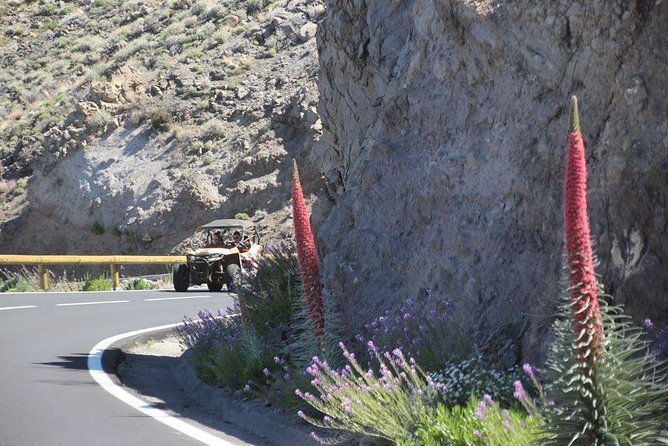 buggy-safari-adventure-700cc