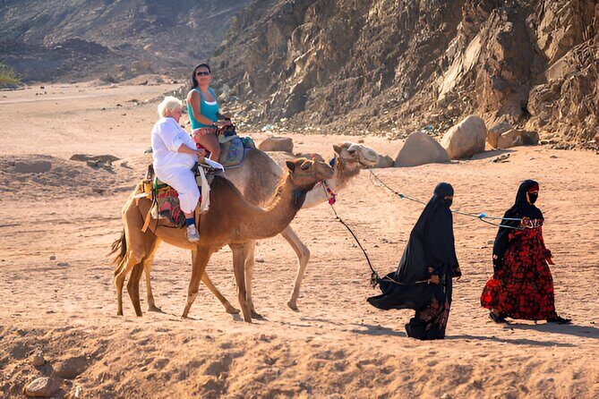 Buggy Safari and ATV, Camel Ride with Dinner at Hurghada - Who Should Book This Tour?