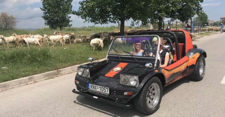 buggy-safari-discover-olympus-by-classic-buggy-rentals