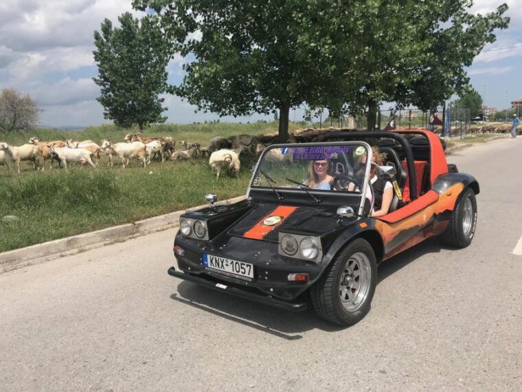 buggy-safari-discover-olympus-by-classic-buggy-rentals