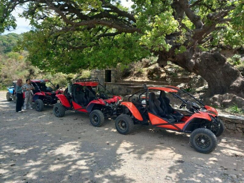buggy-safari-half-day-4-hours-4-hours-hersonissos-malia