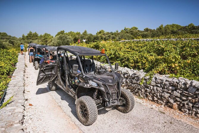 buggy-safari-with-wine-tasting