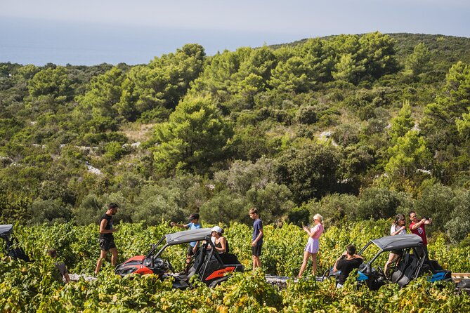 buggy-safari-with-wine-tasting