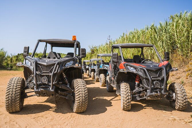buggy-safari-with-wine-tasting