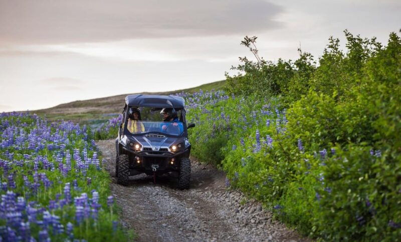 buggy-sky-lagoon-tour
