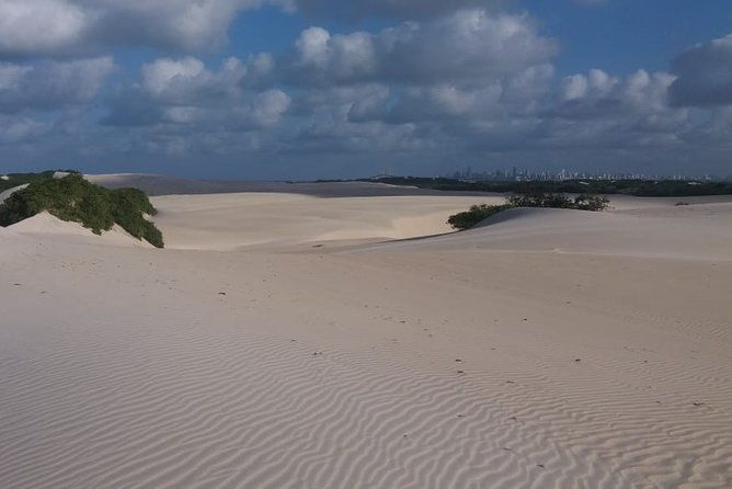 buggy-tour-along-the-north-coast-genipabu